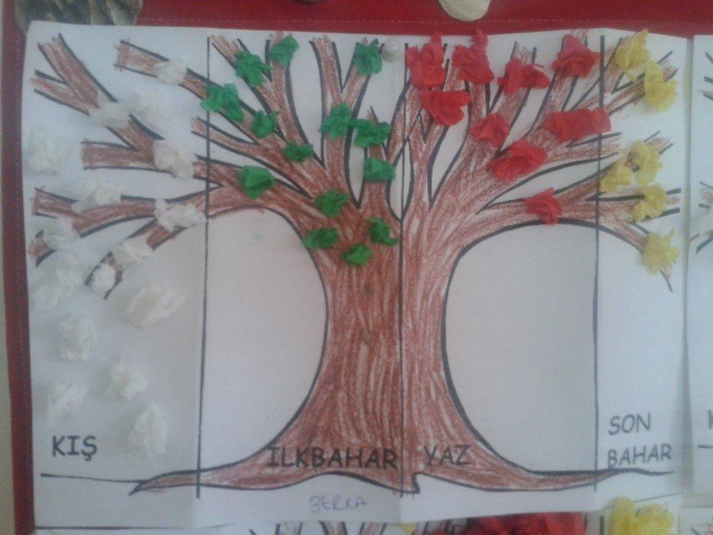 mevsimler ağacı okul Öncesi etkinlikleri