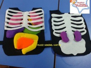 organ önlüğü aile katılımı  (1)