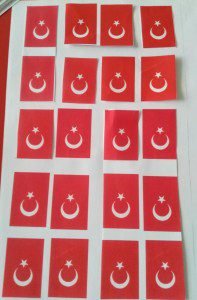 10-kasim6