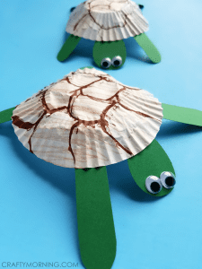 cupcake-liner-turtle-craft-for-kids
