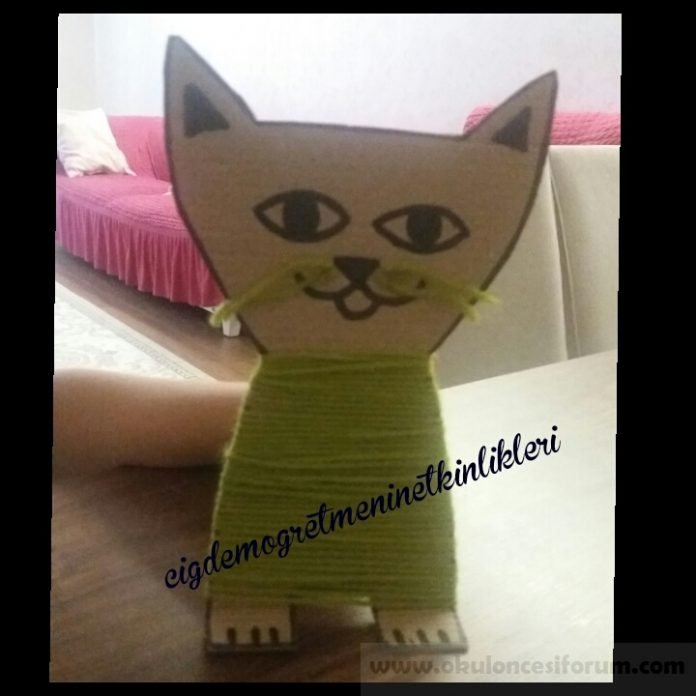 karton kedi