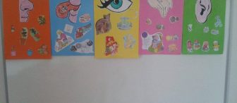 Duyu organları afişleri