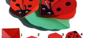 Katlama Uğur Böceği