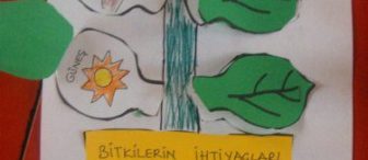 Bitkilerin ihtiyaçları