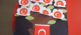 türk ağacı