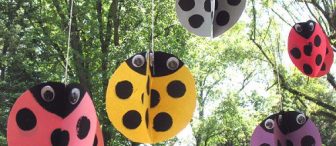 Uğur Böcükleri Rengarenk:)
