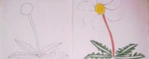 Çiçek (boyama- kağıt katlama çalışması)