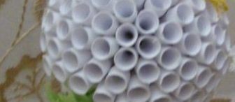 Güzel Bir Çiçek Anlatımlı