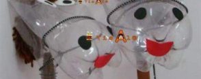 pet şişeden at