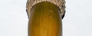 Tahta kaşiktan sevimli inek
