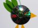 Cd ve Poşetten Kuş