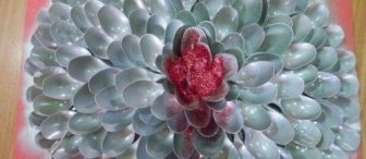 kaşık ve çataldan harikalarım