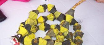 yumurta kolisinden çıngıraklı yılanımız aman dikkat çok zehirli