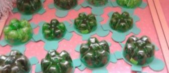 Kaplumbağalarımız(pet şişe ile)