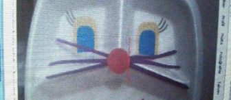 köpük tabaktan tavşan (alıntı)