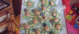 cevizden su kamlumbağası