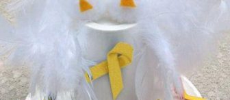 sevimli güvercin :)