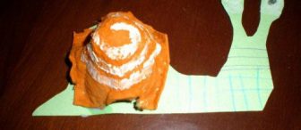 Salyangoz(yumurta kolisi ile)