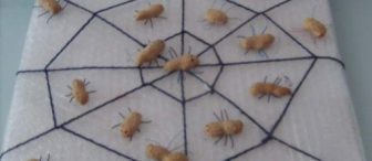 fıstık kabuğundan örümcek yaptık