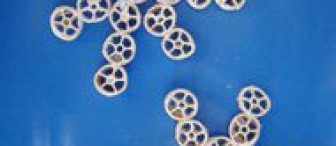 Makarnadan Kar Tanesi (yapılışı ile)