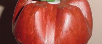 Okul öncesi etkinliği pet şişeden elma