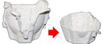 Yumurta mı tavuktan tavuk mu yumurtadan çıkar?