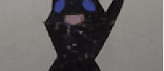 yumurta kolisinden( kedi)