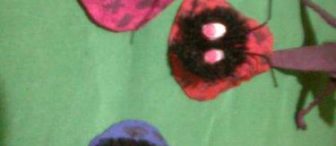 yumurta kolisinden bazı çalışmalar