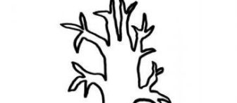 Renkli Makarnalar ile Ağaç(kalıplı)