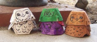 Yumurta Kolisinden Baykuş