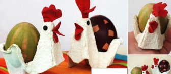 yumurta kolisinden Tavuk