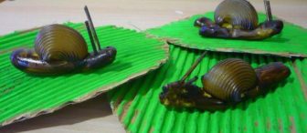 Makarna ile Salyangozlar