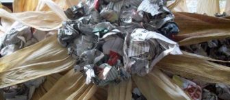 Mısır Yaprakları ile Güneş