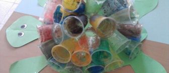 bu da değişik bir kaplumbağa