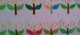 Pamuktan Papatyalarımız