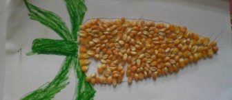 Mısır taneleriyle kocaman mısırlar yaptık