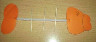 Balık kılçığımızz :)