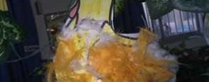 Tabakta Tavuğumuz ve Yumurtaları