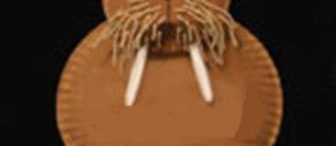 Tabaktan sevimli fok :)