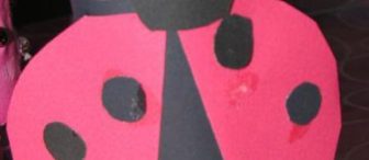 Rulo Uğur Böceği :)