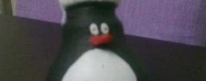 Pinguum