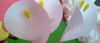 Sınıflarımıza Zambak… :)