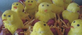 Hayvanlarla İlgİlİ deĞİŞİk etlİnlİk Örneklerİ Çok beĞeneceksİnİzzz :)