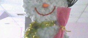 Karıncalar harika:)..kardan kadın:)ve salyangozumuza bakın:):)