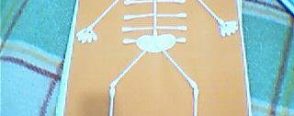 İskeletimiz :))