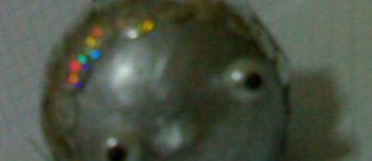 Süs kabağından balık