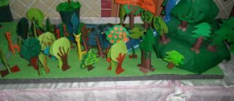 Okulumuzdan Orman Projemiz :)