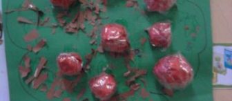 4 Yaş Sınıfımızdan Elma Ağacı