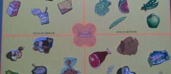 Besin grupları kavram haritası