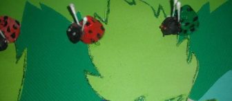 Yumurta kolİsİnden sevİmlİ uĞur bÖceklerİ